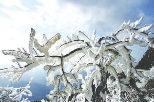 梦见大雪有什么寓意?