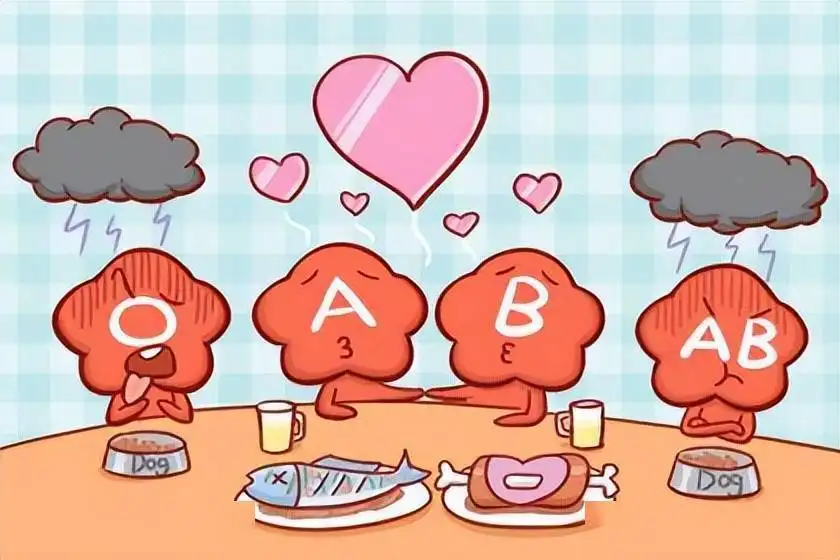A型B型血的人能在一起吗？A型血B型血的人有哪些性格特点
