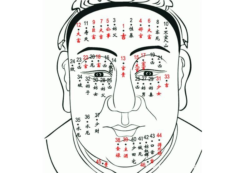 痣所长的位置大体分为三部分:上庭额头代表事业前途;中庭脸与鼻子颧骨